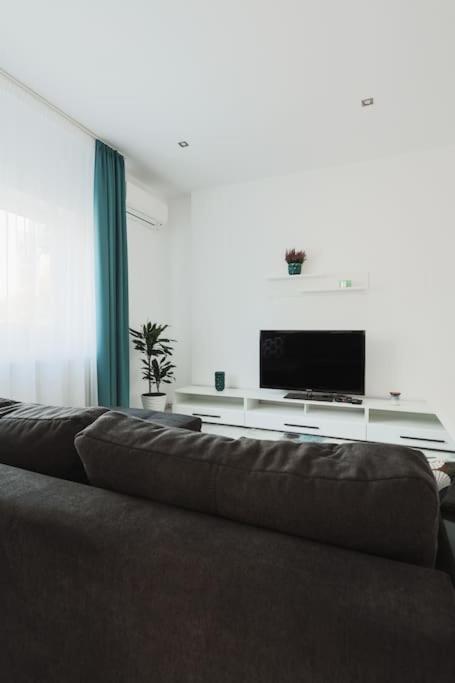 Ambassador Apartment Baia Mare Exteriör bild